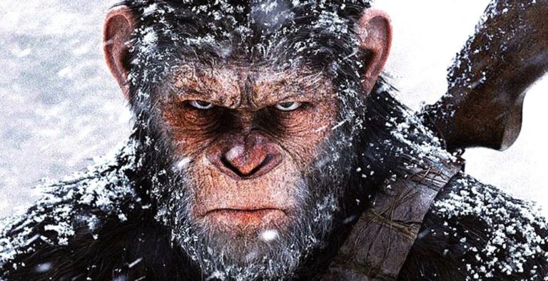 ape